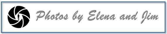 Elena Thornton Logo