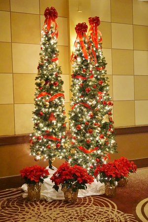 Flower buckets & Christmas Tree